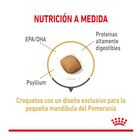 Royal Canin Adult Lulu da Pomerânia ração para cães, , large image number null